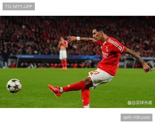 迪马利亚重返本菲卡:生涯后期回归解析 迪马利亚重返本菲卡:生涯后期回归解析